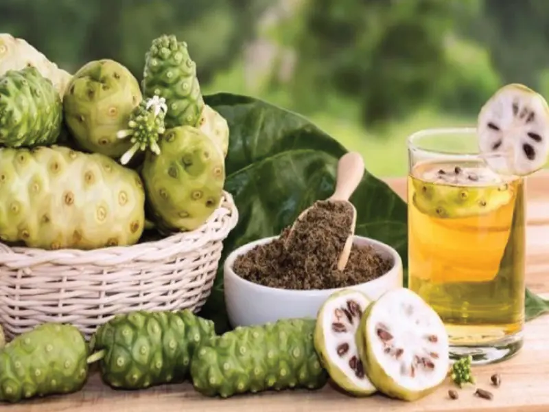 Cách dùng trà nhàu túi lọc