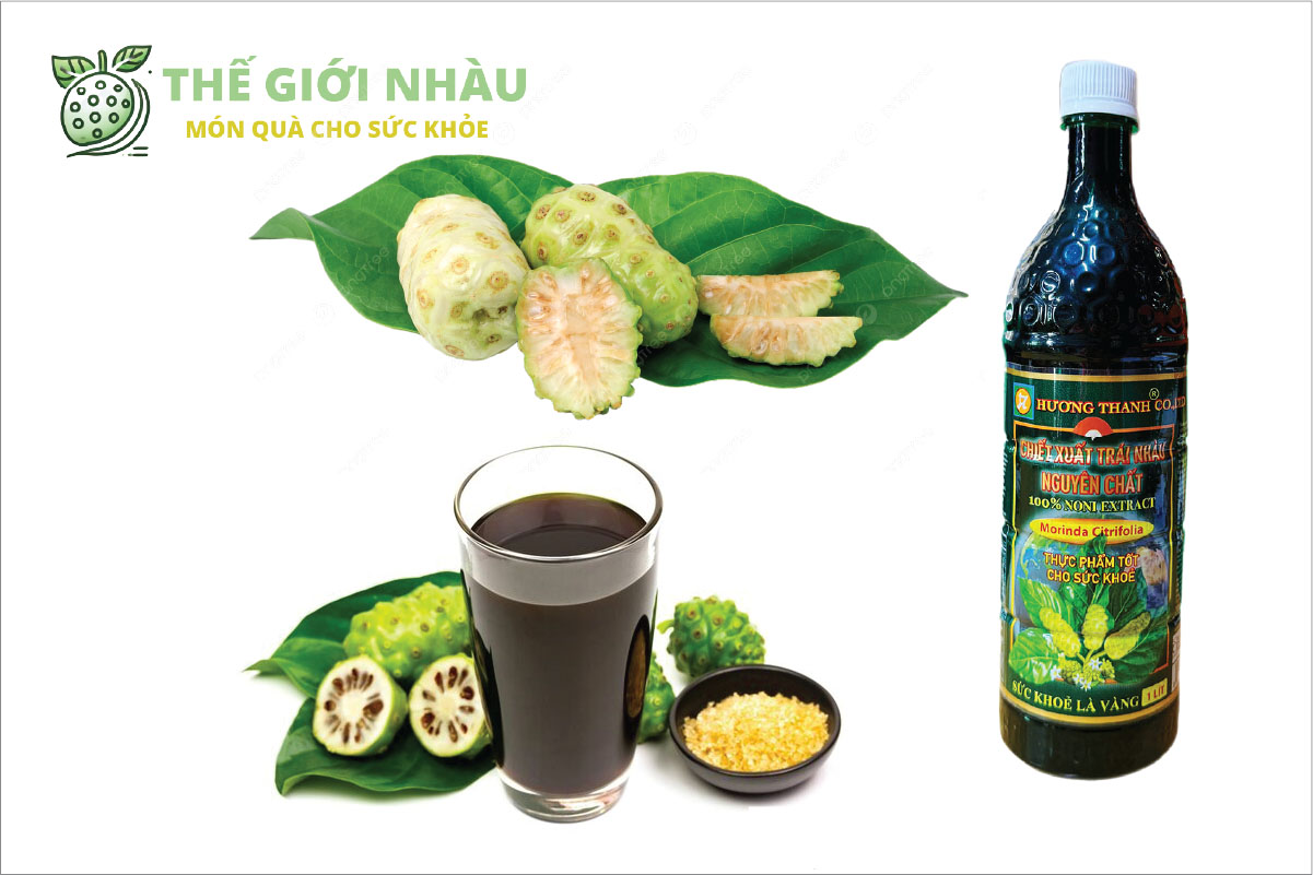 Nước cốt trái Nhàu – Tinh chất lên men tự nhiên cho sức khỏe bền lâu