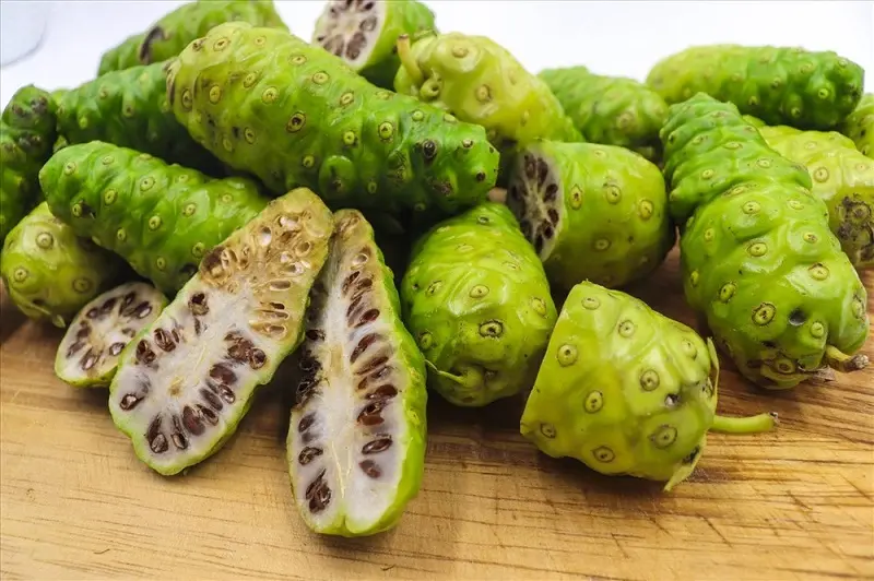 Trái Nhàu – “Siêu thực phẩm” tăng cường sức khỏe toàn diện