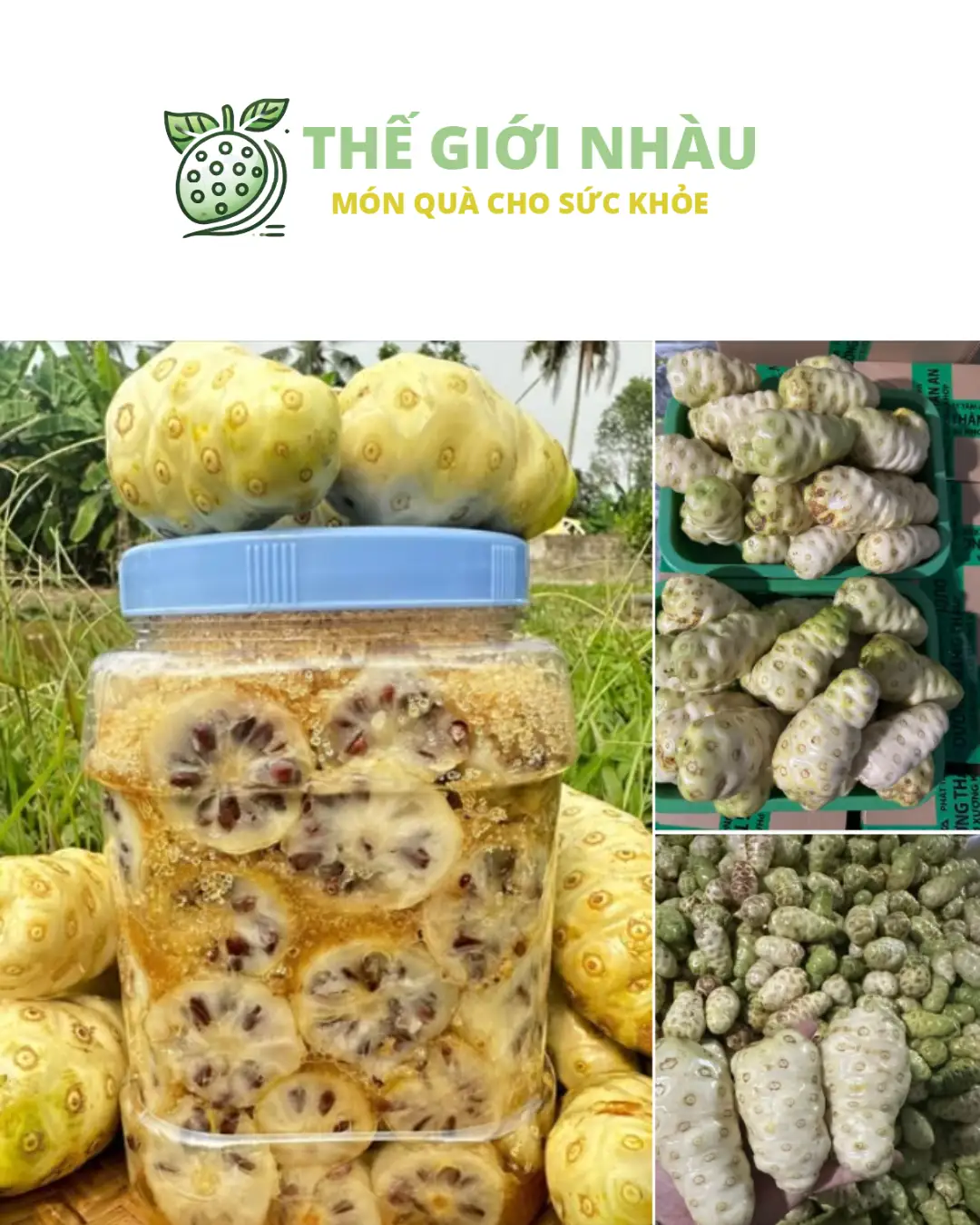 Cách Ngâm Nhàu Với Đường Cát Vàng