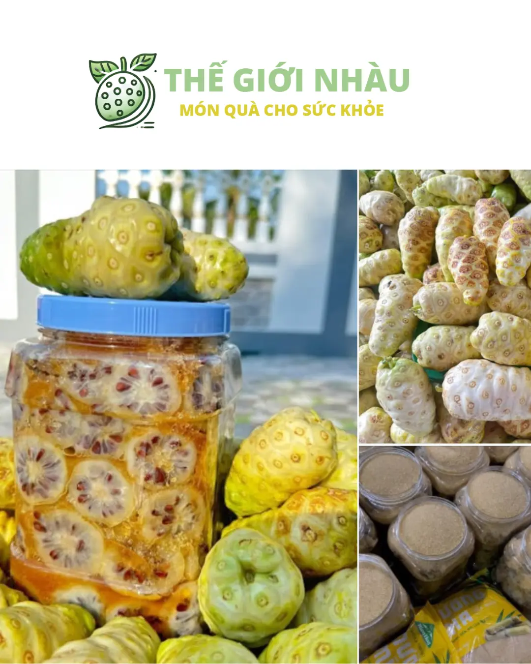 Trái Nhàu Ngâm Đường Phèn Uống Có Tác Dụng Gì
