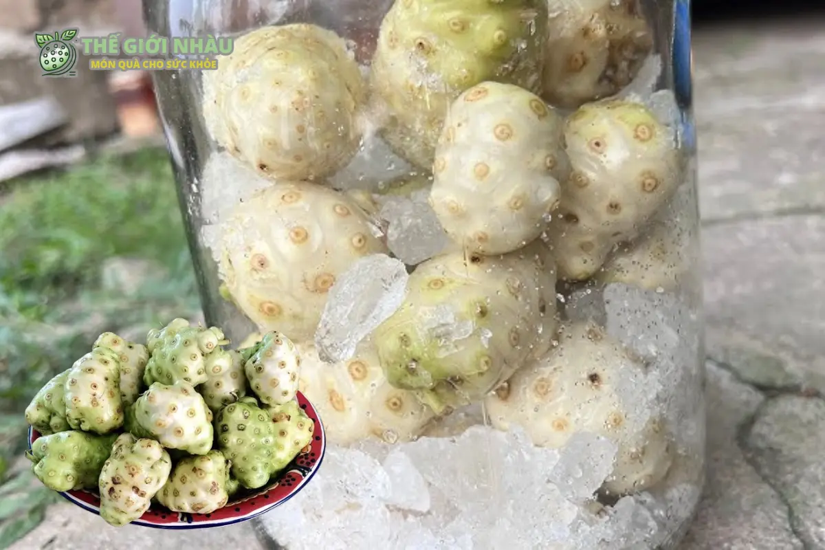 Cách Ngâm Trái Nhàu Đường Phèn
