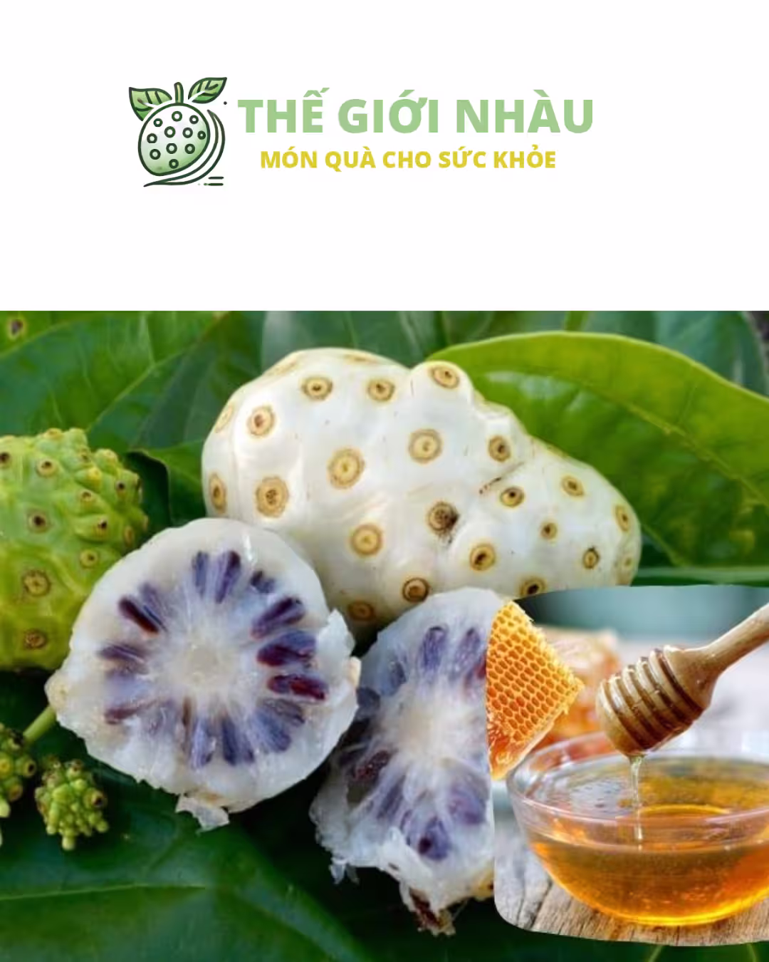 Trái Nhàu Ngâm Mật Ong Là Gì?