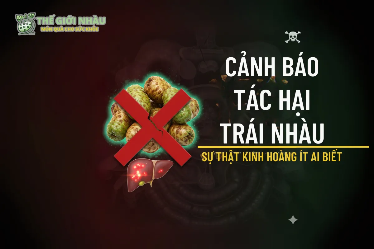 Cảnh báo tác hại trái nhàu & hướng dẫn sử dụng an toàn từ Thế Giới Nhàu