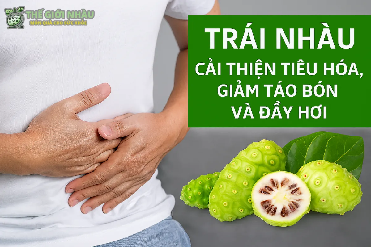 Cải Thiện Tiêu Hóa, Giảm Táo Bón Và Đầy Hơi