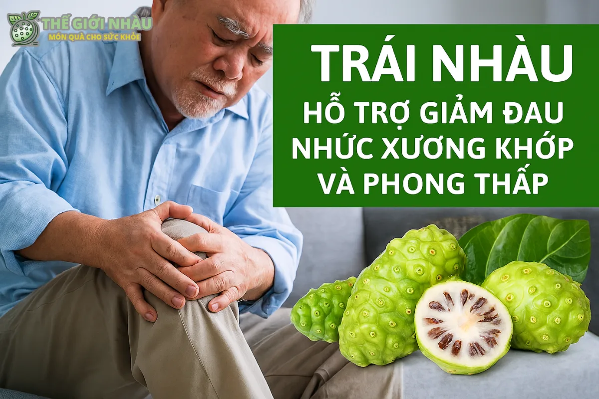 Hỗ Trợ Giảm Đau Nhức Xương Khớp Và Phong Thấp