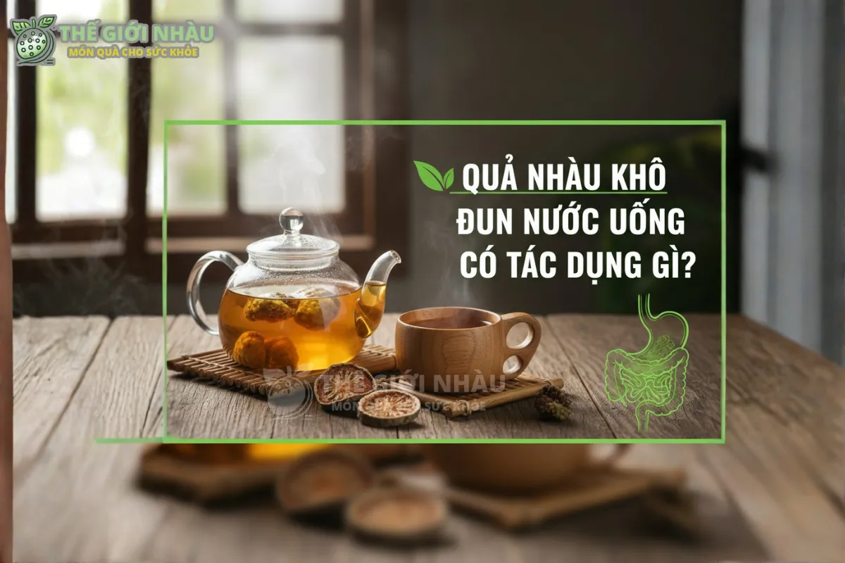 Quả Nhàu Khô Đun Nước Uống Có Tác Dụng Gì? Giải Thích Theo Góc Nhìn Khoa Học, Cách Đun Đúng Và Lưu Ý An Toàn