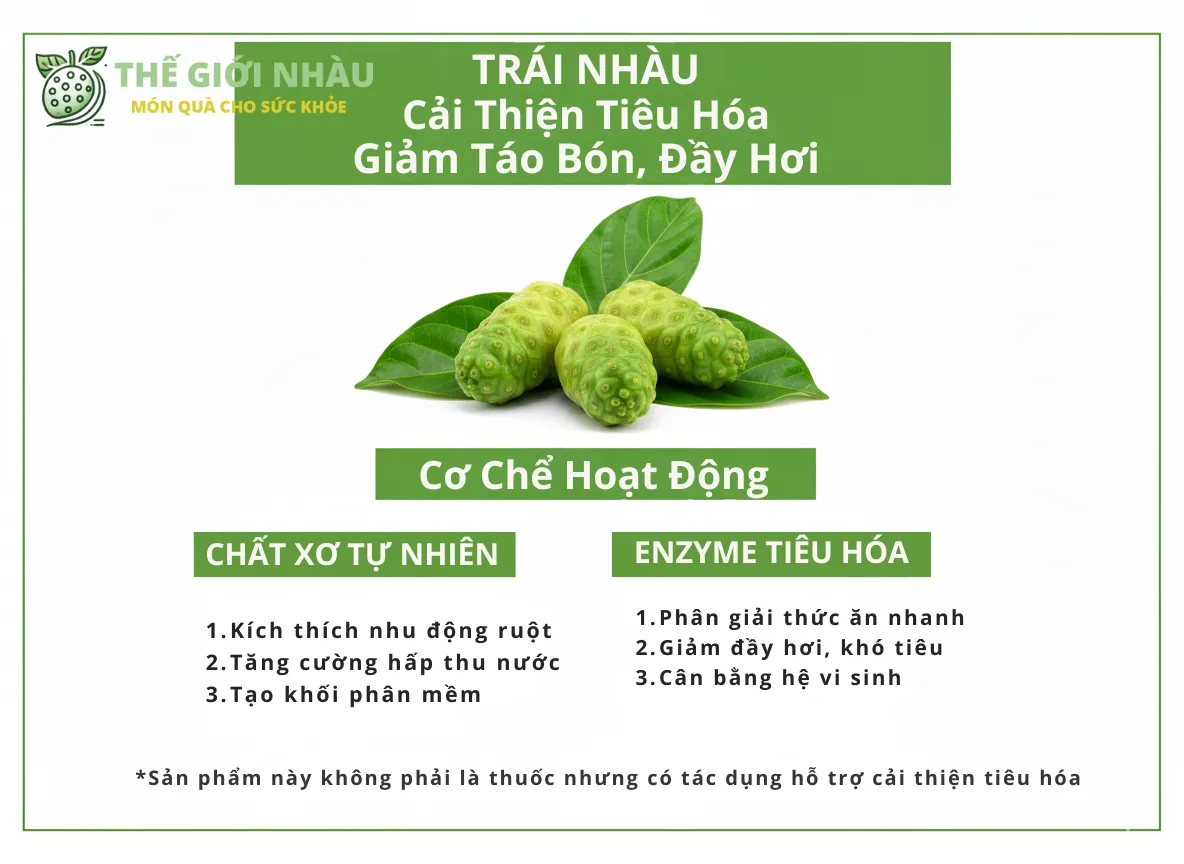 Cải Thiện Tiêu Hóa: Giảm Táo Bón, Đầy Hơi