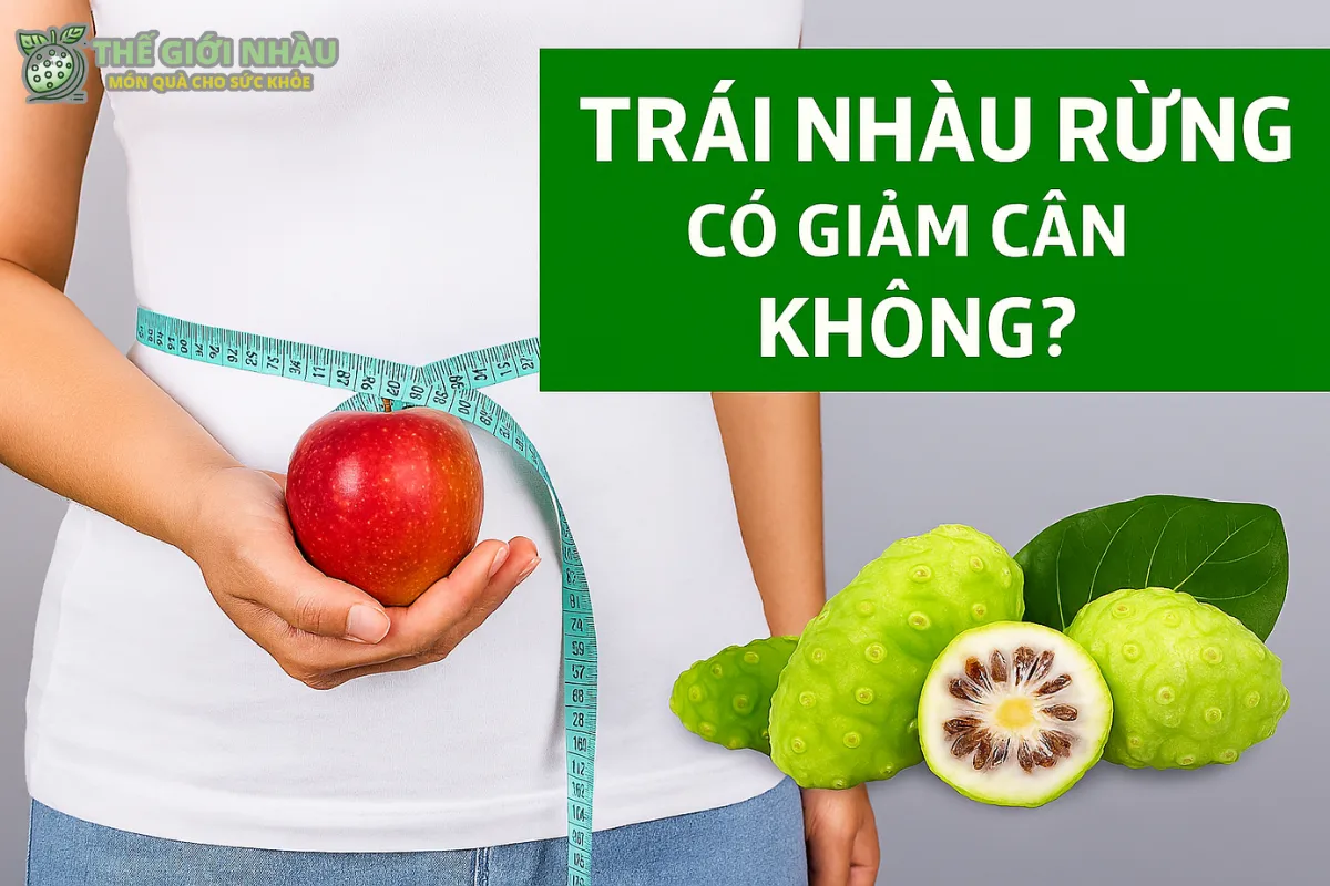 Trái Nhàu Rừng Có Giảm Cân Không? Công Dụng Khoa Học Của Trái Nhàu Rừng Khô Và Cách Sử Dụng An Toàn Để Hỗ Trợ Giảm Cân