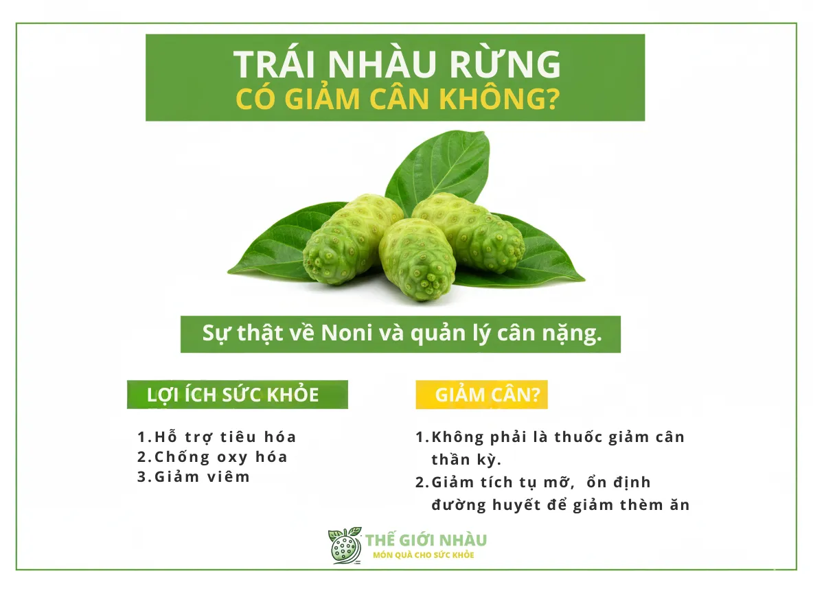 Trái Nhàu Rừng Có Giảm Cân Không